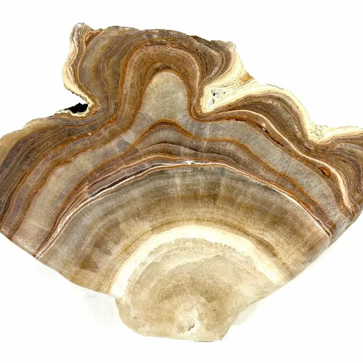 [BUNJANG] Mineral Specimen with Wave Pattern / 광물 원석 수석
