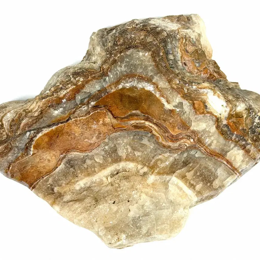[BUNJANG] Mineral Specimen with Wave Pattern / 광물 원석 수석