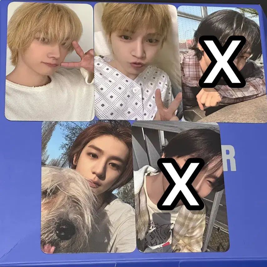 [BUNJANG] BOYNEXTDOOR Showcase Photocard / 보넥도 쇼케이스 포카 양도