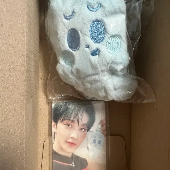 [BUNJANG] NCT Dream Mark Boohoongi Photocard Holder / [새상품] 마크 부훙이 판매합니다