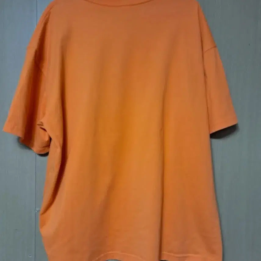 [BUNJANG] Nike ACG LBR T-Shirt XXL / 나이키 ACG LBR 반팔티 XXL/110