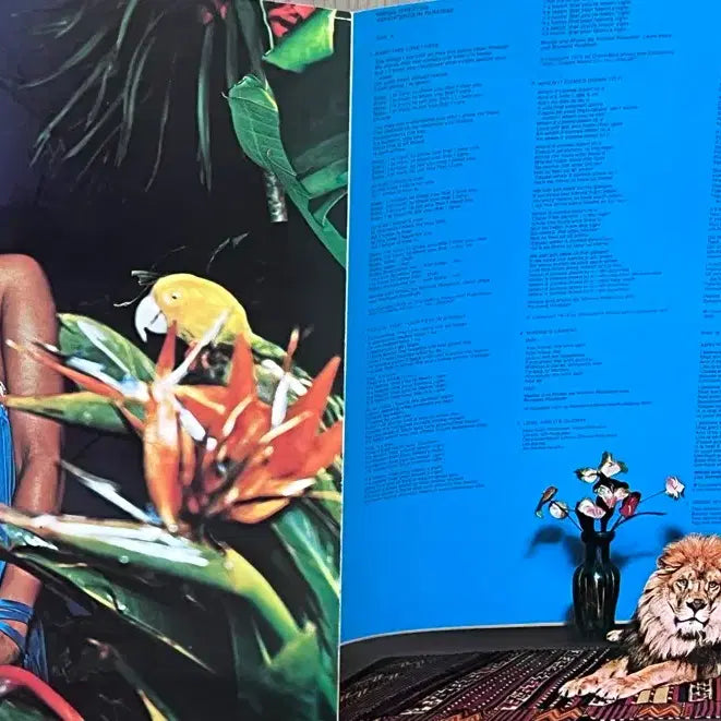 [SOLD OUT] Minnie Riperton Adventures In Paradise일본