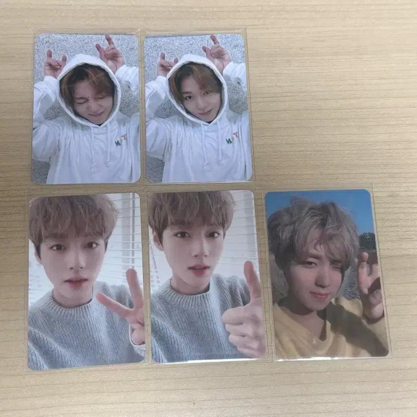 [SOLD OUT] 급처) 박지훈 포카 5장 일괄 박지훈 미공포