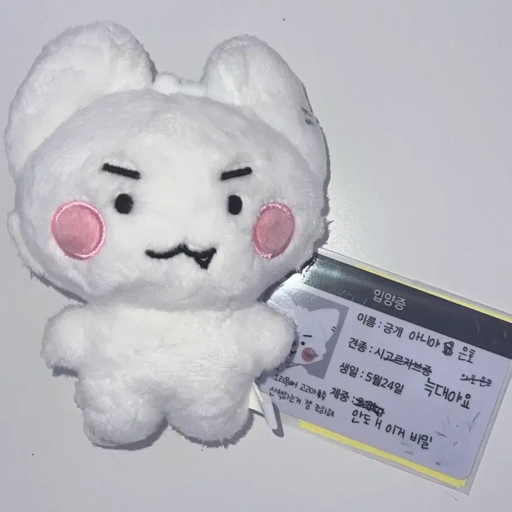 [SOLD OUT] 플레이브 밤비 은호 비공굿 인형 암긍개 암다봉 일괄 양도