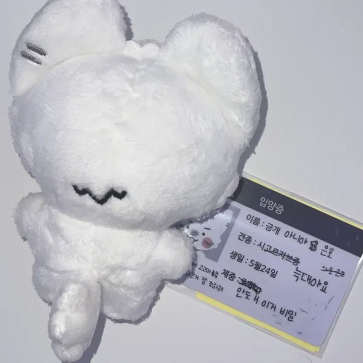 [SOLD OUT] 플레이브 밤비 은호 비공굿 인형 암긍개 암다봉 일괄 양도