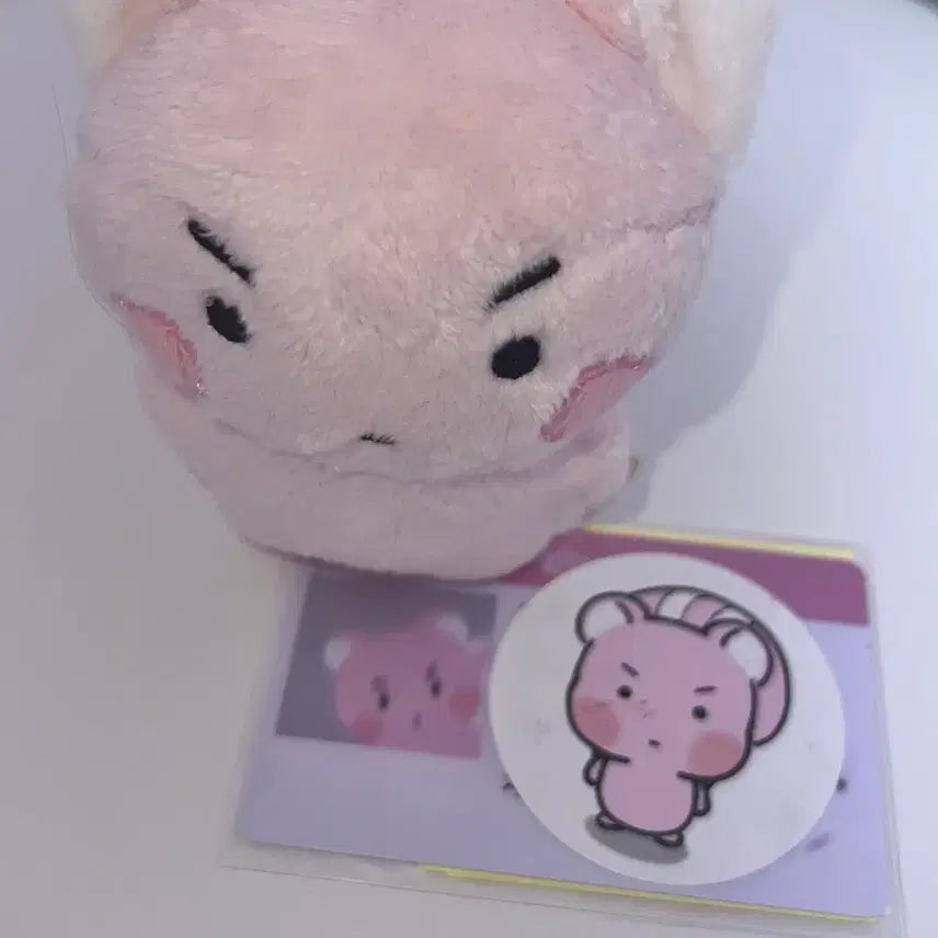 [SOLD OUT] 플레이브 밤비 은호 비공굿 인형 암긍개 암다봉 일괄 양도