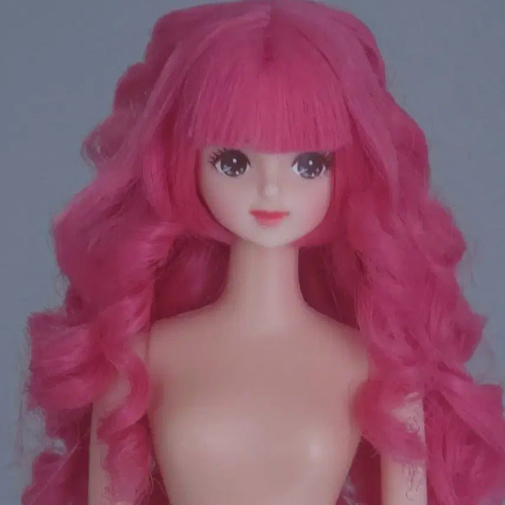 [BUNJANG] Rica Castle Otano Shimidol Mirai Jennie Doll / 리카캐슬 오타노시미돌 미라이 제니인형 제니프렌드돌
