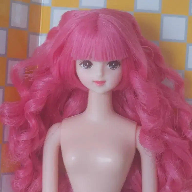[BUNJANG] Rica Castle Otano Shimidol Mirai Jennie Doll / 리카캐슬 오타노시미돌 미라이 제니인형 제니프렌드돌