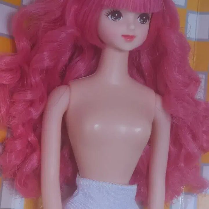 [BUNJANG] Rica Castle Otano Shimidol Mirai Jennie Doll / 리카캐슬 오타노시미돌 미라이 제니인형 제니프렌드돌