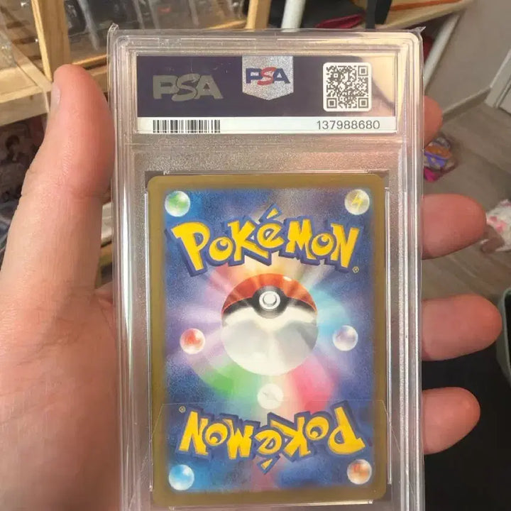[BUNJANG] Pokemon Card 2024 Japanese Special Art PSA 9 / 포켓몬 카드 2024  일판  특별 아트 psa9