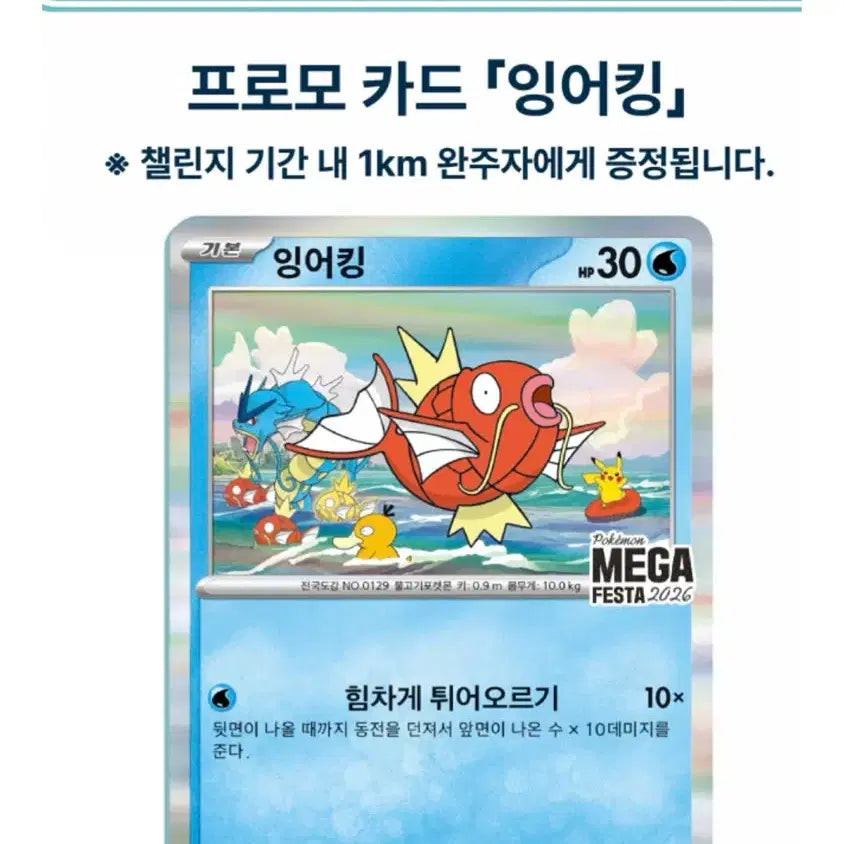 [SOLD OUT] 포켓몬 잉어킹 프로모 카드 5장 7/7 1차수령