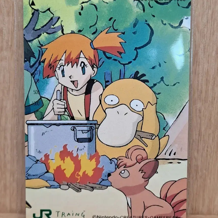 [SOLD OUT] 고전 희귀 포켓몬 이슬이 고라파덕 카드 테레카 팝니다.