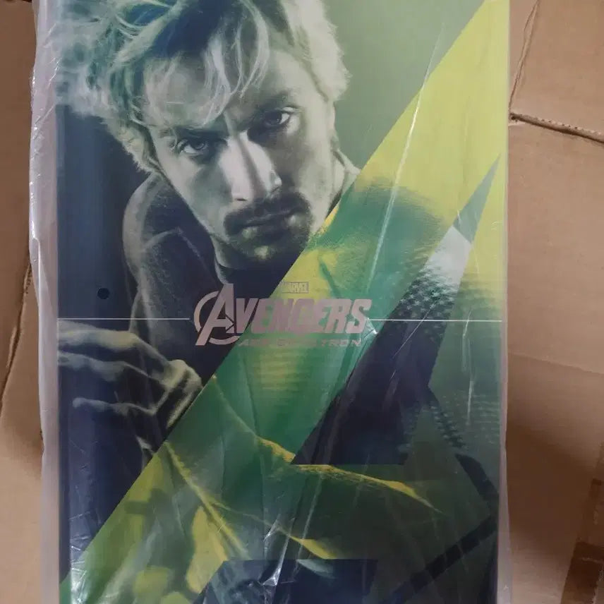 [BUNJANG] Hot Toys Quicksilver Figure Avengers (Sealed) / (미개봉) 핫토이 퀵실버 피규어 어벤져스