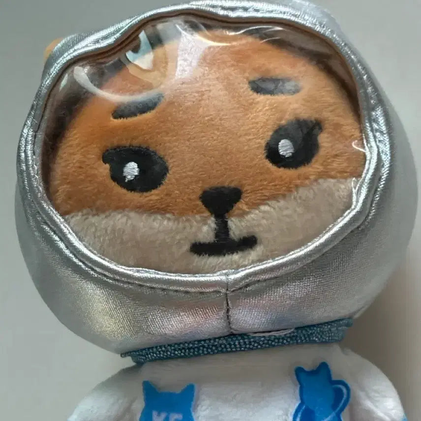 [SOLD OUT] 데이식스 데니멀즈 영케이 2019초판 케인형+우주복