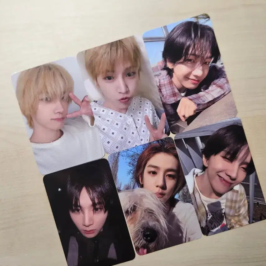 [BUNJANG] BOYNEXTDOOR Showcase Home Split Set Photocard - Sungho, Jaehyun / 보넥도 보이넥스트도어 쇼케이스 쇼케 home 역조공 분철 양도 성호 재현