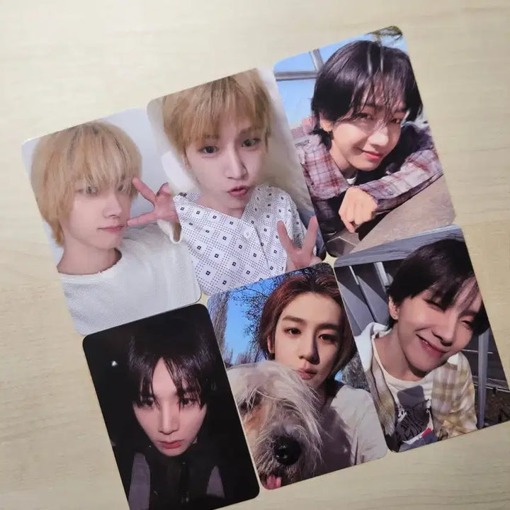 [BUNJANG] BOYNEXTDOOR Showcase Home Split Set Photocard - Sungho, Jaehyun / 보넥도 보이넥스트도어 쇼케이스 쇼케 home 역조공 분철 양도 성호 재현