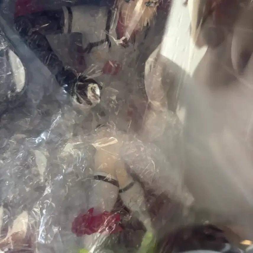 [BUNJANG] Blue Lock Isagi Yoichi Ichiban Kuji C Prize Figure / 블루록 이토시 사에 피규어 이치방쿠지 열중의연쇄 c상