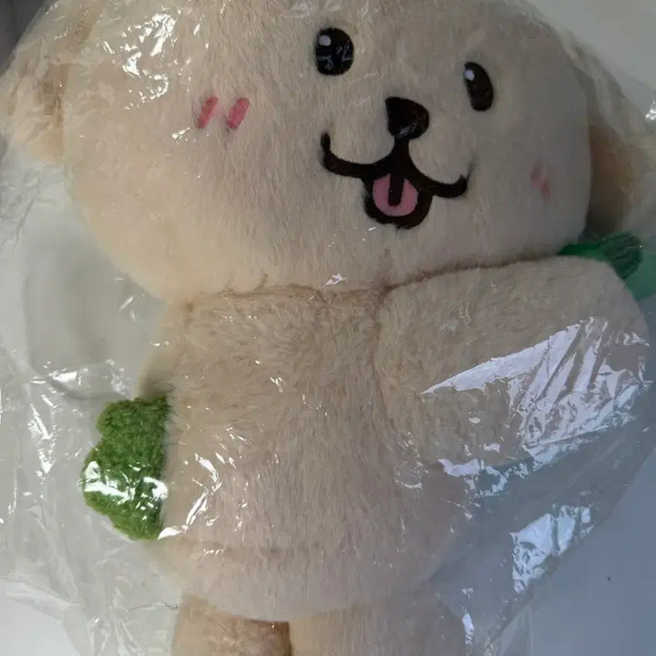 [BUNJANG] Dengtrever Bag / 댕트리버 가방