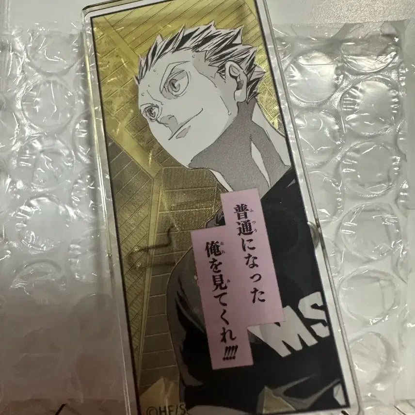 [BUNJANG] Haikyuu Bokuto Quote/Scene Acrylic Stand / (교환가능) 하이큐 보쿠토 명언 명장면 아크릴