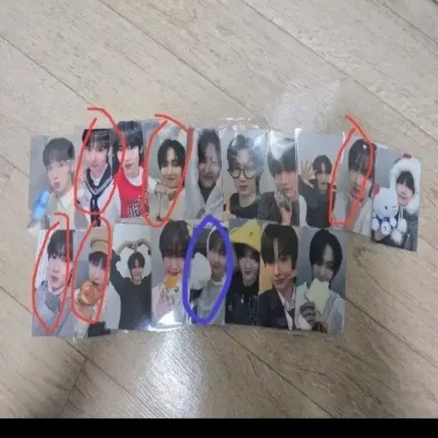 [BUNJANG] Arctic Photocard / 아틱 포카