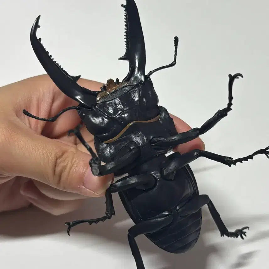 [BUNJANG] Giant Stag Beetle Figure Gacha / 일본가챠 생물가챠 왕넓적사슴벌레 피규어 가챠