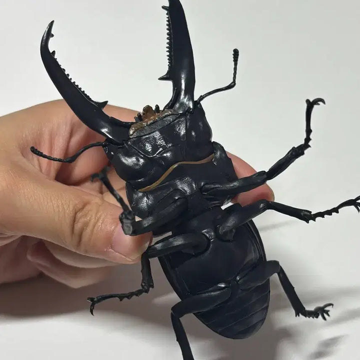 [BUNJANG] Giant Stag Beetle Figure Gacha / 일본가챠 생물가챠 왕넓적사슴벌레 피규어 가챠