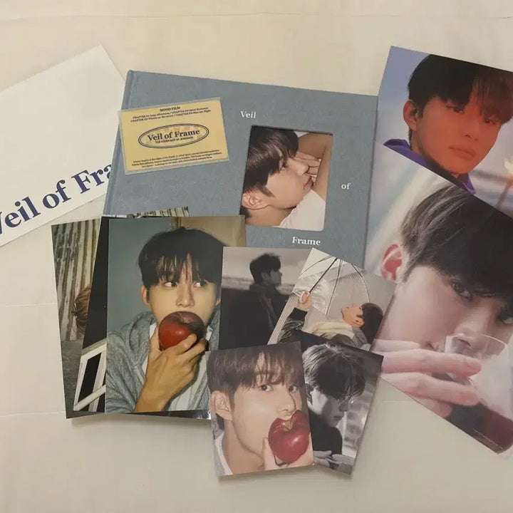 [BUNJANG] NCT 127 Jungwoo Veil of Frame Photobook Album / 엔시티127 정우 veil of frame 포토북 앨범 미개봉 양도 인형