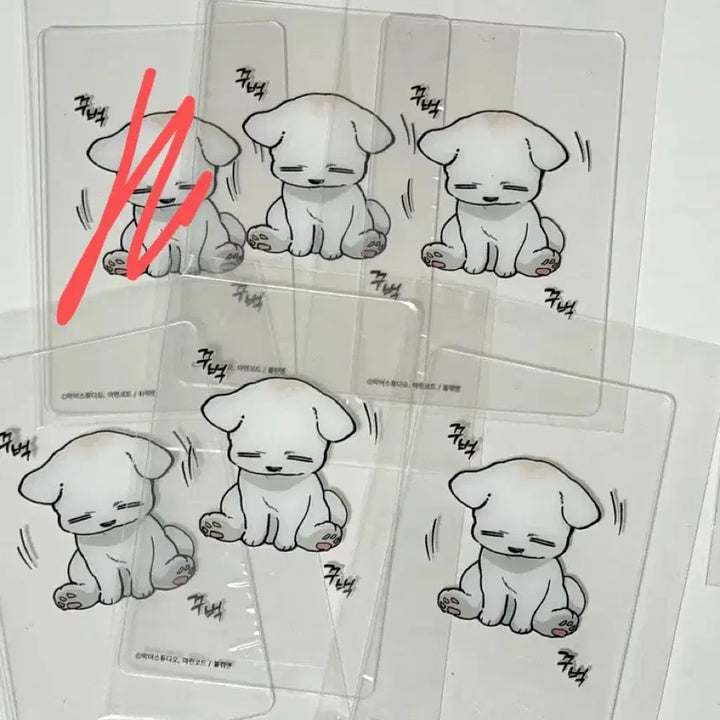 [BUNJANG] Kanggeomma Transparent Photocard / 강아지는건드리지마라 강건마 투명포카 양도