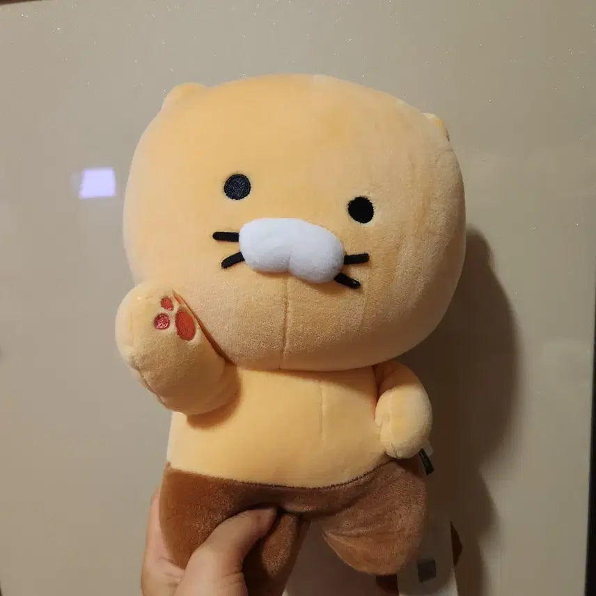 [BUNJANG] Chunsik Plush Doll / 춘식이 인형