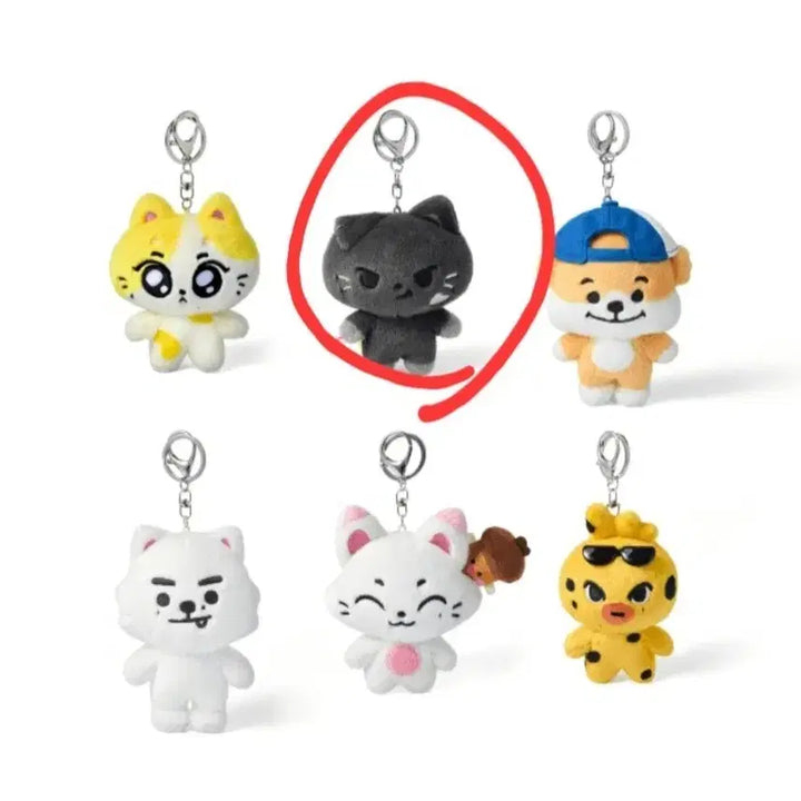 [BUNJANG] ENHYPEN ENCHIN NOCKSTAR Plush Keychain / 양도) 엔하이픈 엔친 녹스타 플러쉬키링 양도 판매