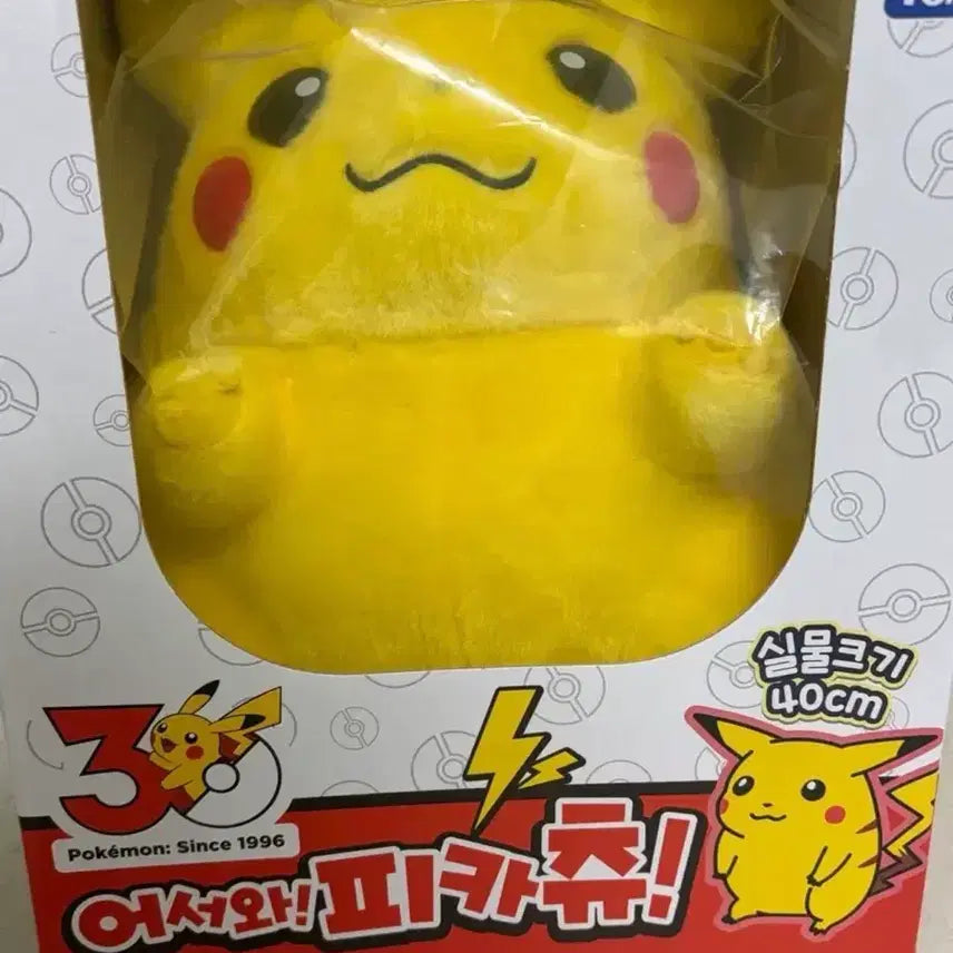 [BUNJANG] 30th Anniversary Chubby Pikachu Plush Toy / 30주년 어서와 피카츄 뚱카츄 인형