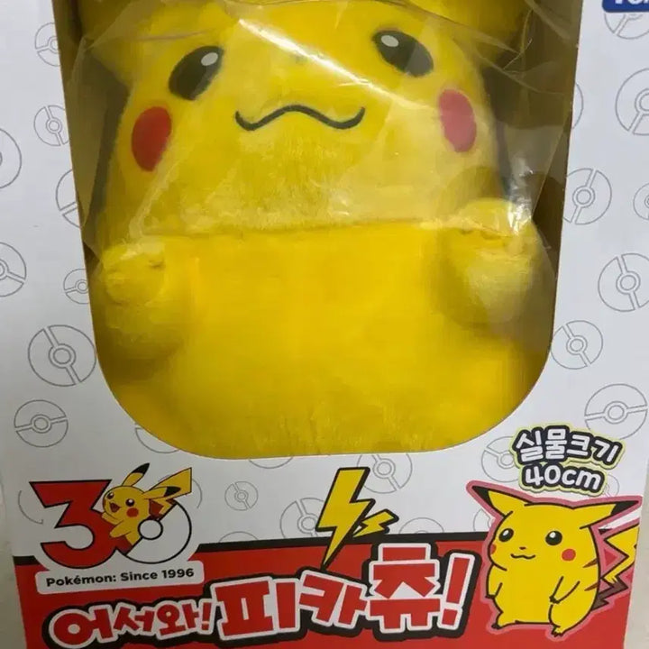 [BUNJANG] 30th Anniversary Chubby Pikachu Plush Toy / 30주년 어서와 피카츄 뚱카츄 인형