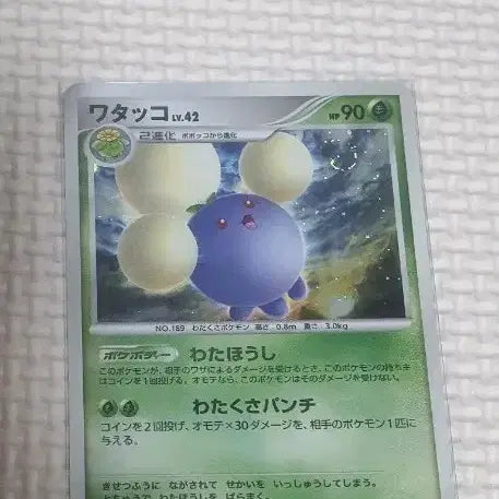 [BUNJANG] Pokemon Card Somomi Holo / 일판포켓몬카드 솜솜코 홀로