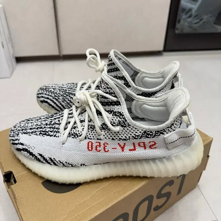 [BUNJANG] Adidas Yeezy Boost 350 V2 Zebra / 이지부스트 350 V2 지브라 265