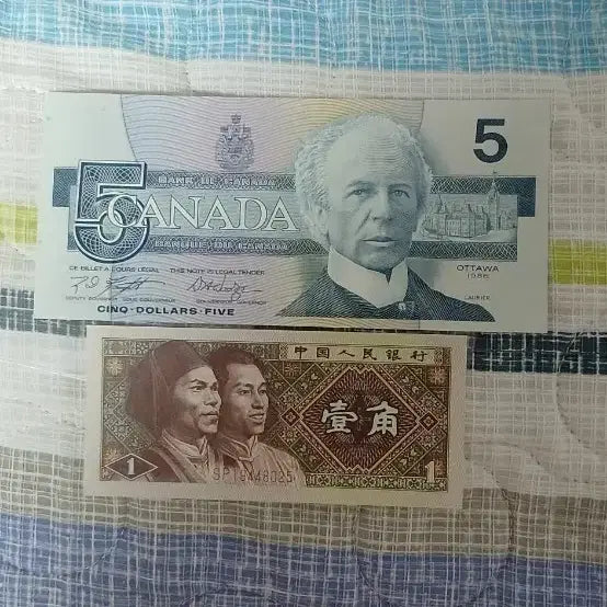 [BUNJANG] Canadian 5 Dollar Bill / Chinese 1 Jiao Bill / 캐나다 5달러 지폐 / 중국 1각 지폐