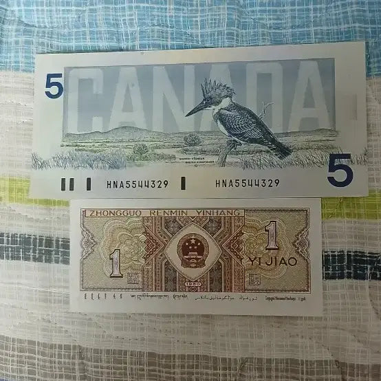 [BUNJANG] Canadian 5 Dollar Bill / Chinese 1 Jiao Bill / 캐나다 5달러 지폐 / 중국 1각 지폐