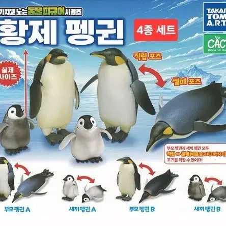 [BUNJANG] Takara Tomy Animal Series Emperor Penguin / 타카라토미 가지고노는 동물시리즈 황제펭귄