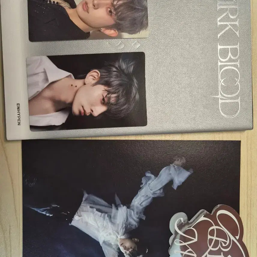 [BUNJANG] Enhypen Heeseung Evan Dark Blood Engine Ver. Photocard / 엔하이픈 희승 에반 다크블러드 엔진반