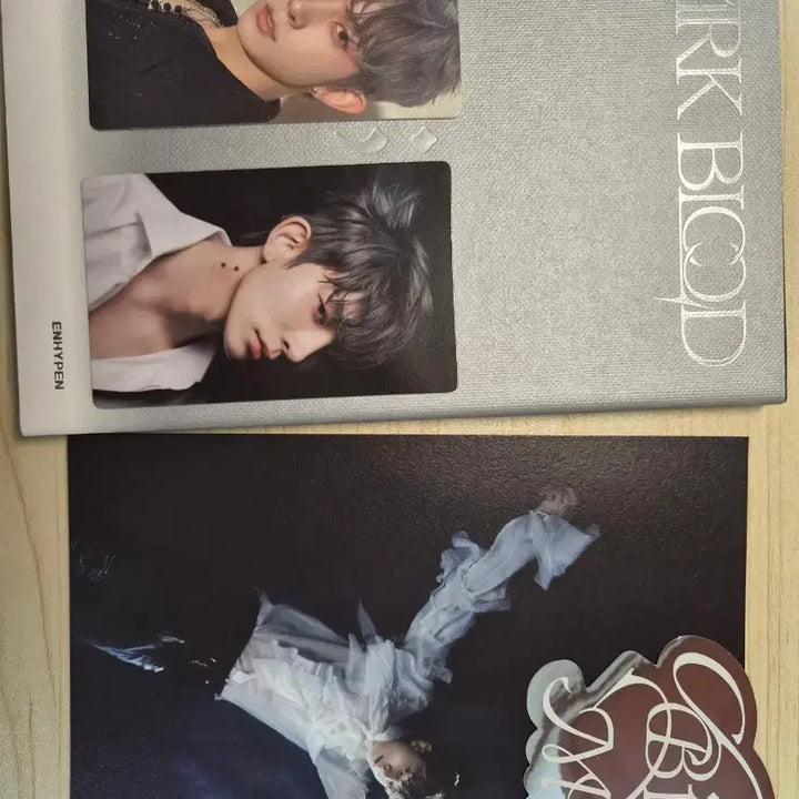 [BUNJANG] Enhypen Heeseung Evan Dark Blood Engine Ver. Photocard / 엔하이픈 희승 에반 다크블러드 엔진반