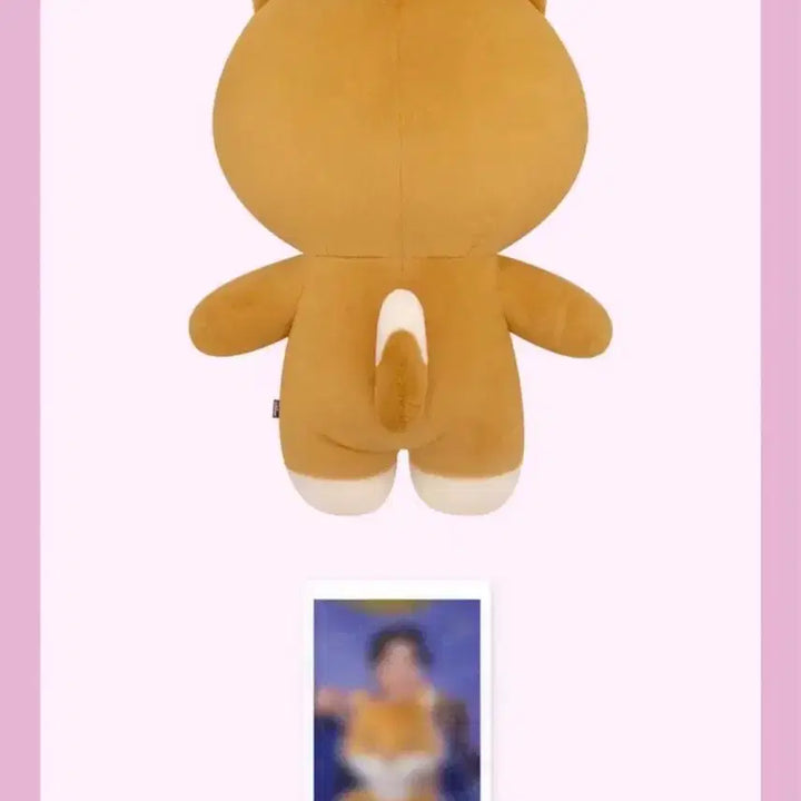 [BUNJANG] DAY6 Young K Giant Petit Merz K Doll / 데이식스 자이언트 쁘띠멀즈 케 원가이하 자쁘멀 영케이