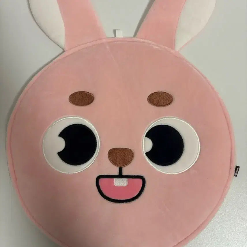 [BUNJANG] Young K Uchiwa + Uchiwa Cover Set / 우치와 + 우치와 커버