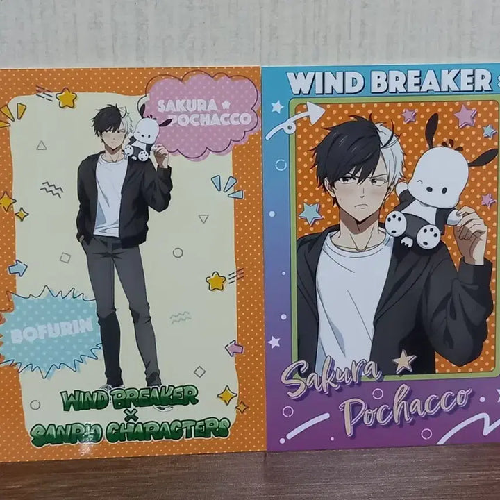 [BUNJANG] Winbre Sakura x Sanrio Pochacco Collaboration Photocard / 윈브레 사쿠라X산리오 포차코 콜라보 사진