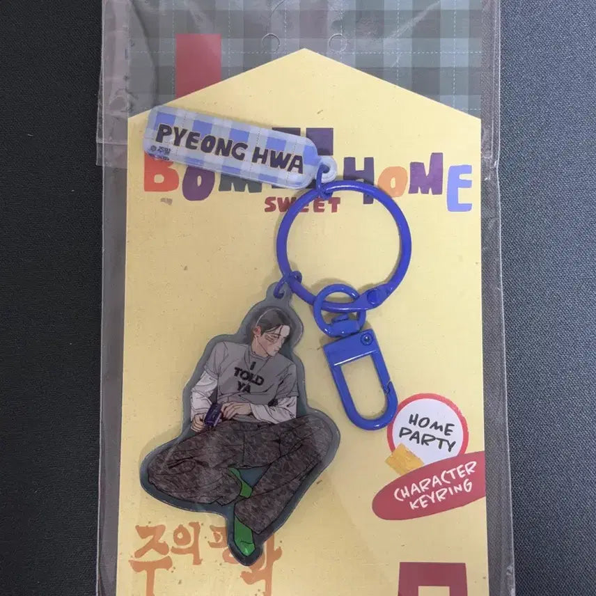 [BUNJANG] Ahn Pyonghwa (ANPYEONGHWA) Carabiner Keychain (Sealed) / (미개봉) 주의 평화 안평화 카라비너 키링