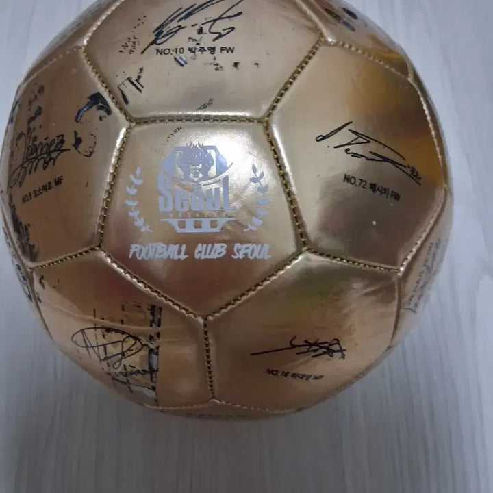 [SOLD OUT] FC서울 싸인공 골드