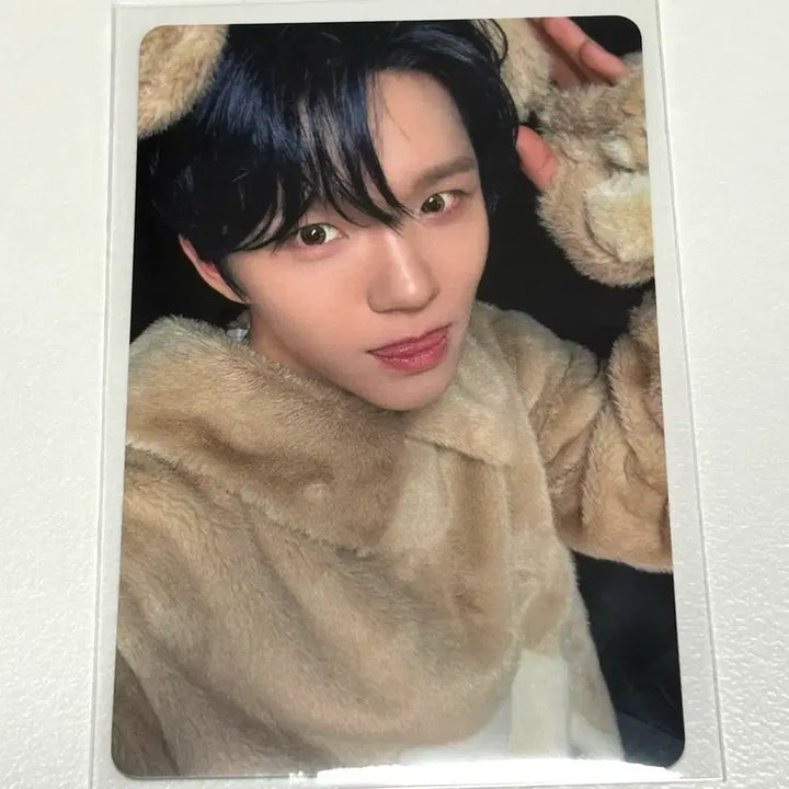 [BUNJANG] NCT WISH Melon Musicwave Animal Pajama Photocard Jaehee / 엔시티위시 멜론 뮤직웨이브 동물잠옷포카 재희