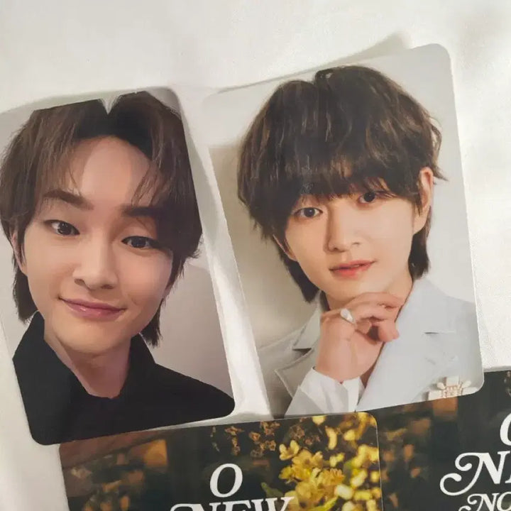 [BUNJANG] SHINee Onew Onyu Note Photocard + Fortune Card Bundle Set / 샤이니 온유 오뉴노트 포카+포츈카드 4종 일괄