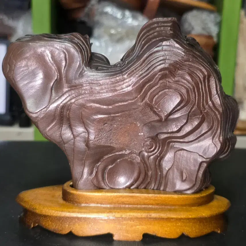 [BUNJANG] Libyan Desert Glass Petrified Wood / 리비아응축규화목