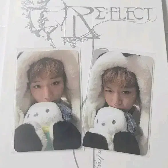 [BUNJANG] Park Ji Hoon Reflect Pochaco 2 Types Set / 박지훈 리플렉트 포차코 2종세트