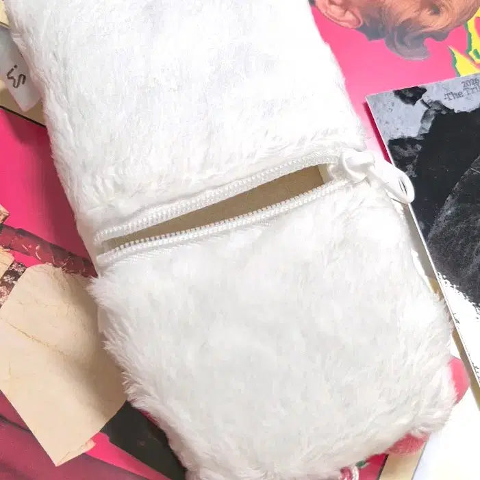 [BUNJANG] Kitty Bokshili Collaboration Photocard Holder &amp; Photocard / 키티 복실이 콜라보 포토카드홀더 &amp;포카