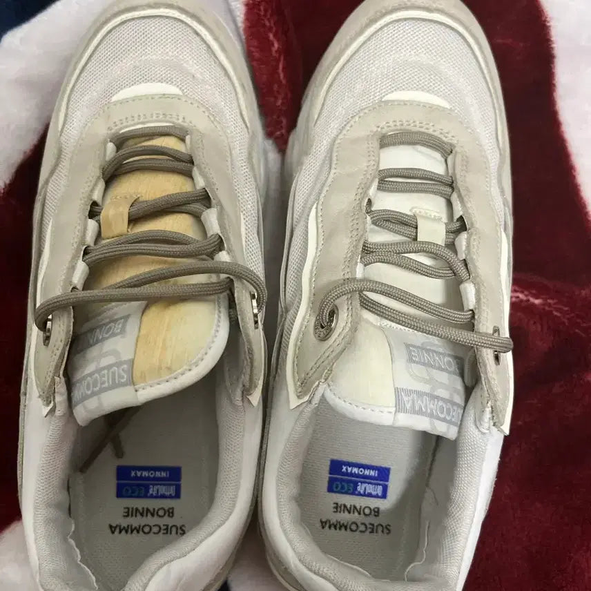 [BUNJANG] SUECOMMA BONNIE DGADA22508WHT-01 Sneakers Beige/White 240mm / 수콤마보니 스니커즈 240mm 정품